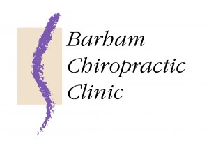 Barham Chiro Logo (colour)